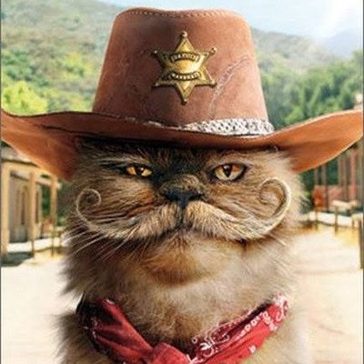 SuspendedBilaMX's profile picture
