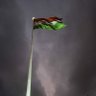 Kishore Tamhaney's profile picture