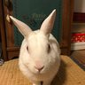 コバヒロ profil fotoğrafı