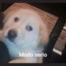 Hetero não praticante 的头像