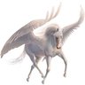 Фото профиля Pegasus