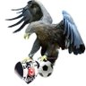 Profilbild von buyssal