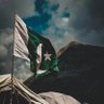 Umar Hafeez's profile picture