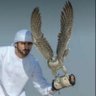 Profilbild von alwafy