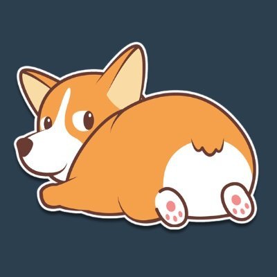 CorgiCoinBSC's profile picture
