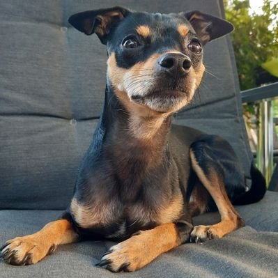 PasaWorldwide's profile picture