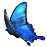 Profilbild von Artist Bar Morpho-モルフォ-🦋役者がバーテンダー🦋
