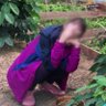 あすか's profile picture