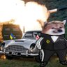 Profilbild von Alex Bond