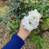 JAmoon⁷💎n🧬 profil fotoğrafı