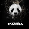 panda designer 的头像