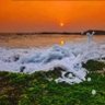 Naushaba Nazneen profil fotoğrafı