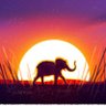 Umaa Info Tech's profile picture