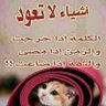 Yousef Hajj's profile picture