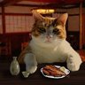Фото профиля さけ　のみこ。