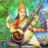 Solai🇮🇳🇸🇬🇲🇾 的头像