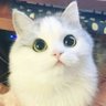 successpeople's profile picture