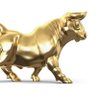 Golden Bull Run profil fotoğrafı