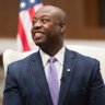 Tim Scott's profile picture