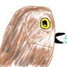 eule's profile picture