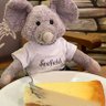 𝕎𝕙𝕚𝕤𝕜𝕖𝕣𝕤 𝕄𝕠𝕦𝕤𝕖 🧀's profile picture