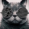 Tim Dixon's profile picture