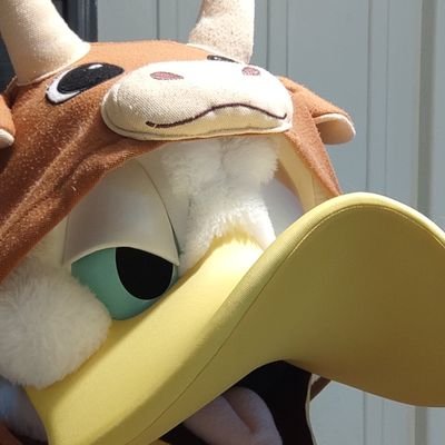 DonlAD🦆's profile picture