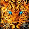 Singh's profile picture