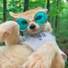 Bryte 🦊's profile picture