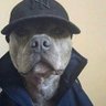 T’erry Henry profil fotoğrafı