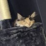 Profilbild von beepnop