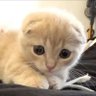 うのじ's profile picture