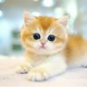 Profilbild von 偶然