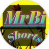MrBi Shorts 的头像