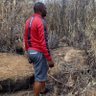 Zwide's profile picture
