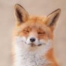 KP's profile picture