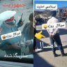 سلطانی profil fotoğrafı