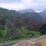 Nitika Gupta's profile picture