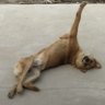 先生 王 profil fotoğrafı