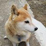 やまちゃん's profile picture