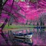 carpe diem profil fotoğrafı