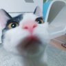 Profilbild von 삼성은 지옥이다.