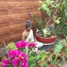 jagmohan sharma's profile picture