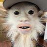 Profilbild von Jerry_Lewis