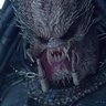 Gawain profil fotoğrafı