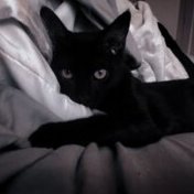 Chili203's profile picture