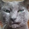 Zonkers1965's profile picture