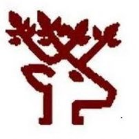 Wildlife Institute of India's profile picture