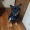 みー profil fotoğrafı