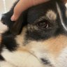 Yoko profil fotoğrafı
